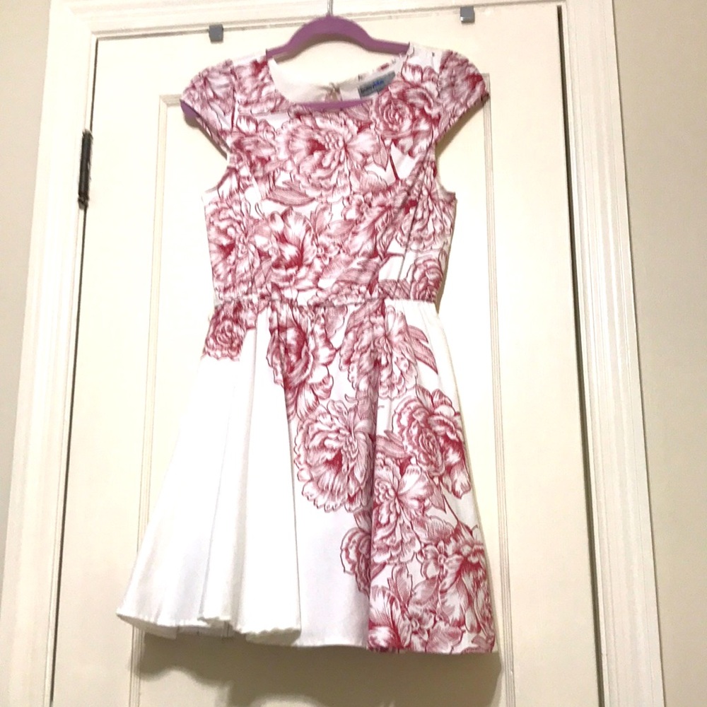 Vintage style Bailey Blue a-line dress.